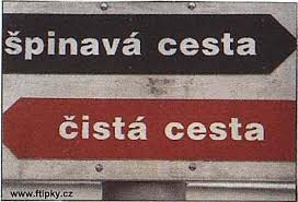 cesta