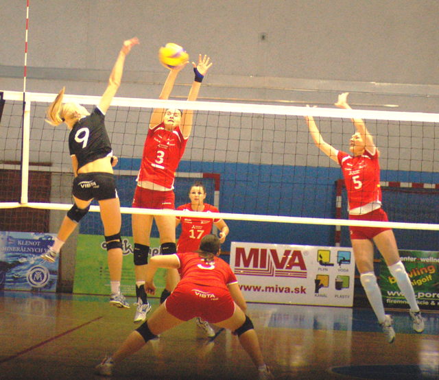 snv 10