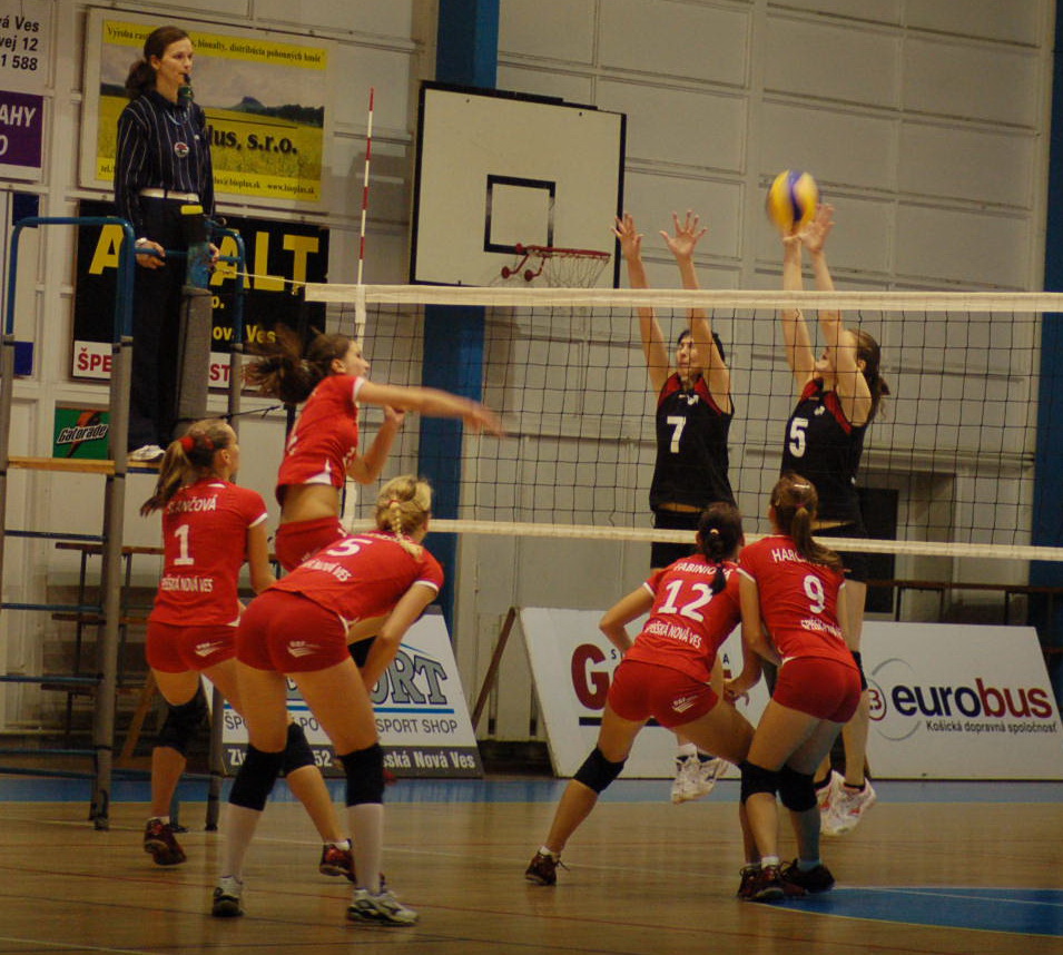 snv_3